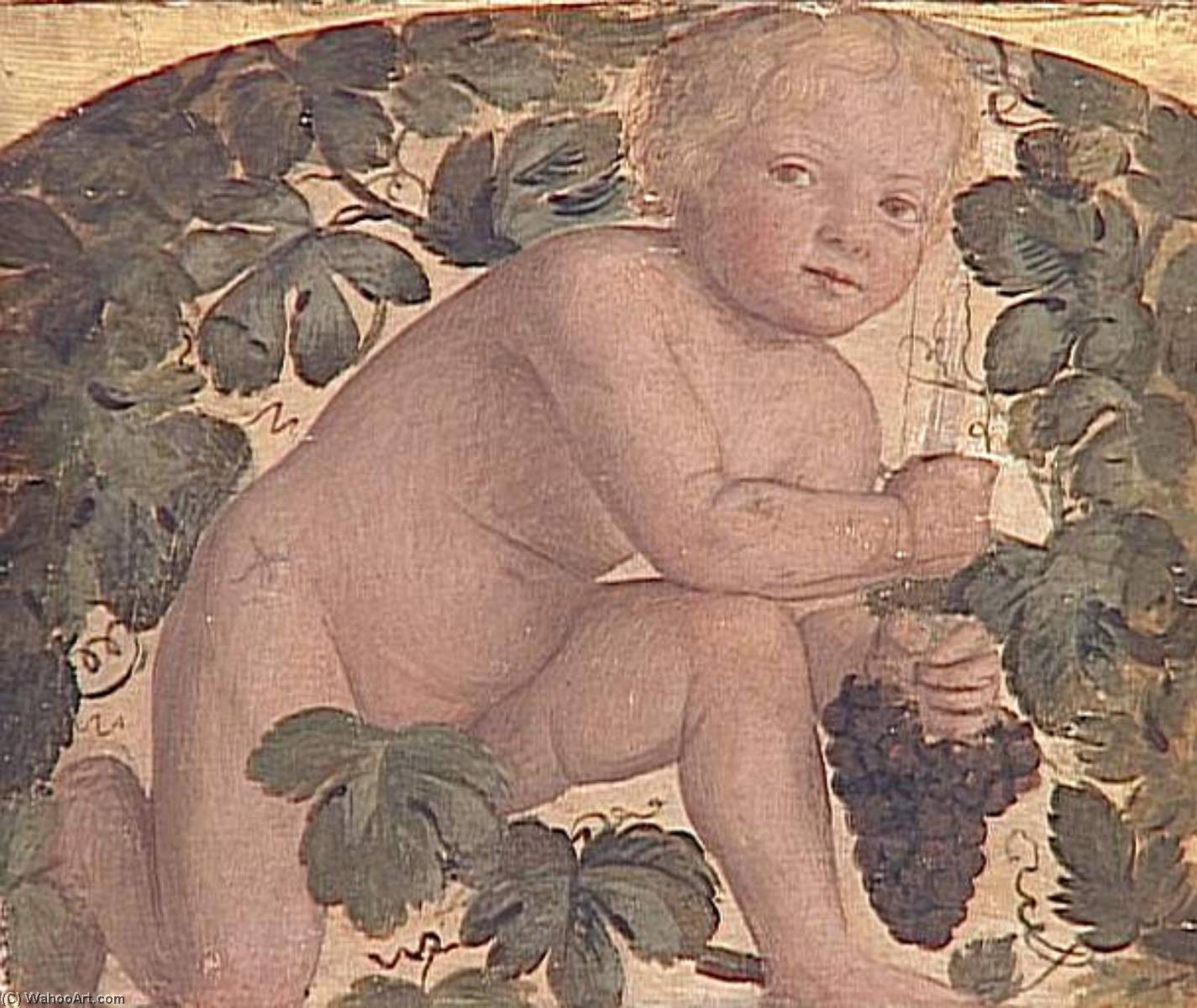Enfant A Genoux Sous Une Treille — Bernardino Luini