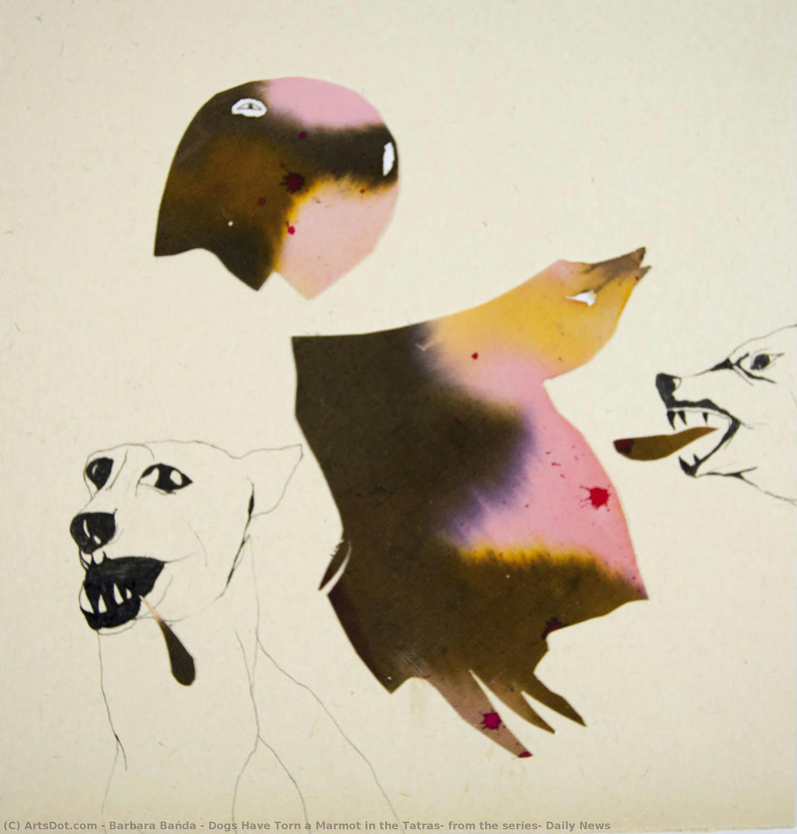 Dogs Have Torn A Marmot In The Tatras, From The Series: Daily News — Barbara Bańda