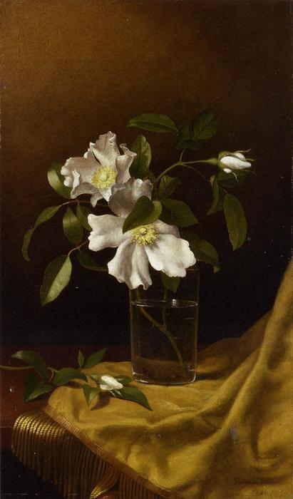 Cherokee Roses In A Glass On Gold Velvet Plush — Martin Johnson Heade