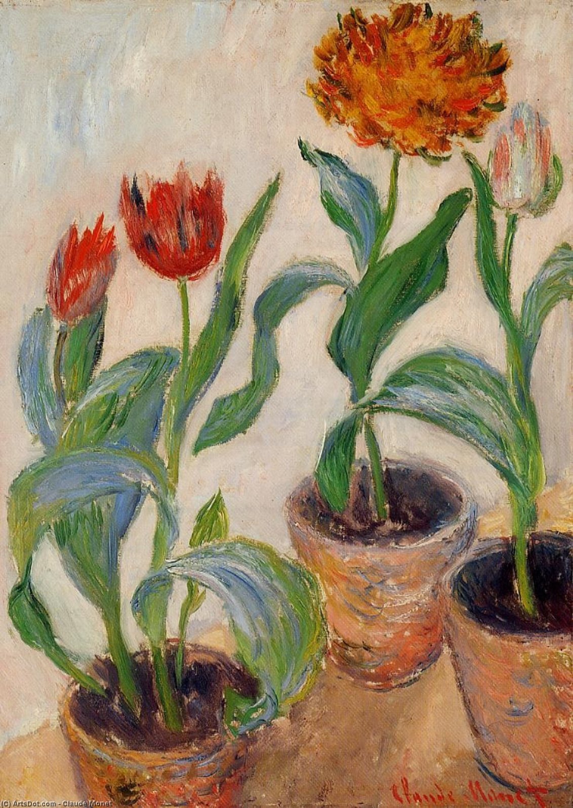 Three Pots Of Tulips — Claude Monet