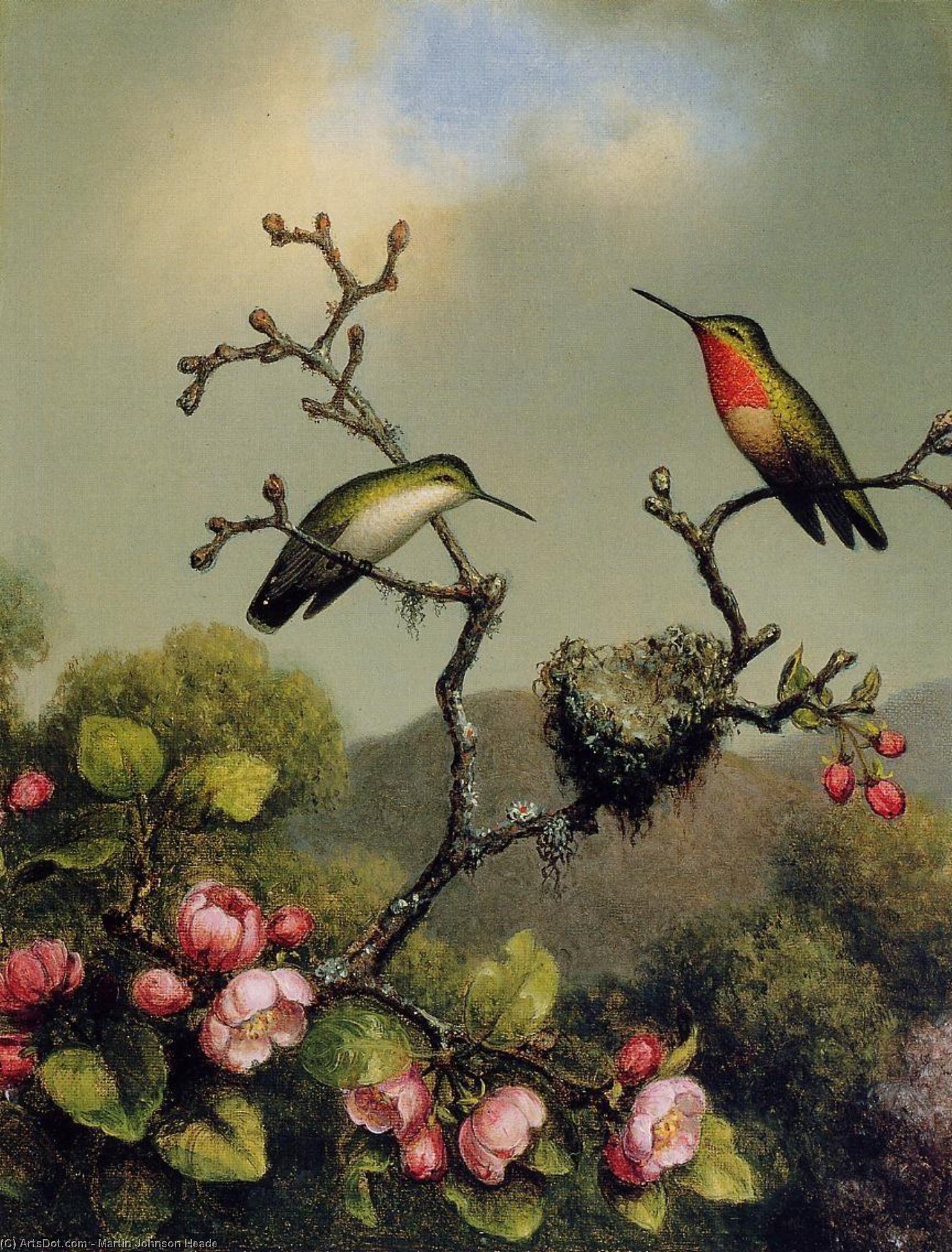 Ruby Throat Of North America — Martin Johnson Heade