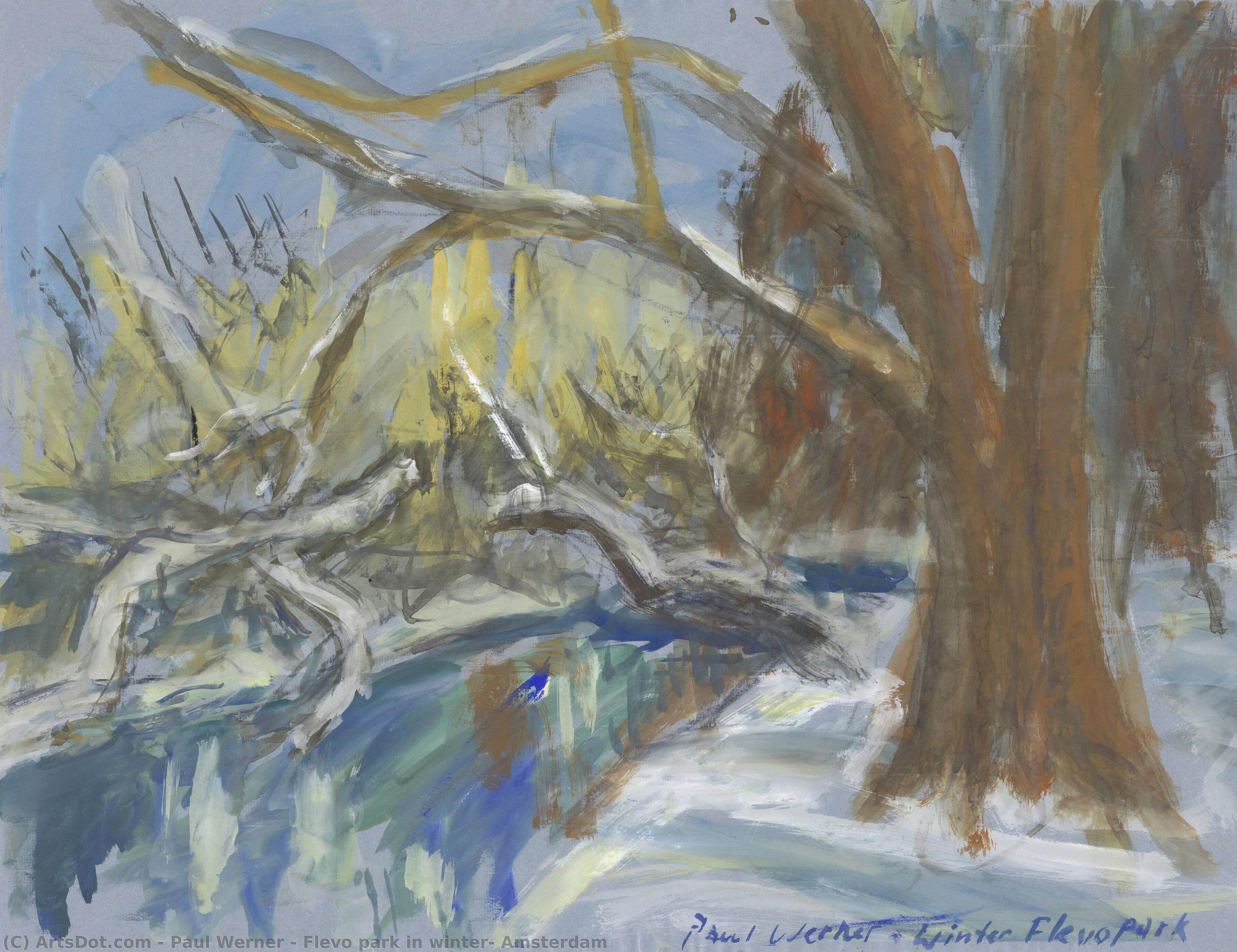 Flevo Park In Winter, Amsterdam — Paul Werner