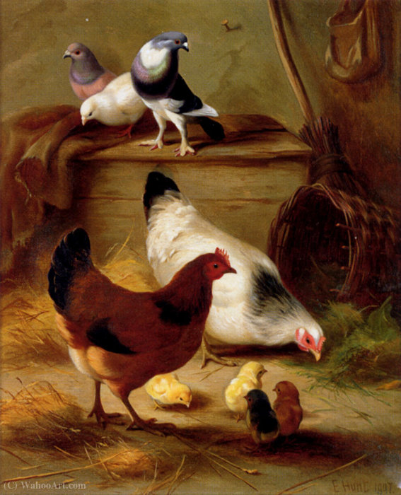 Pigeons And Chickens — Edgar Hunt