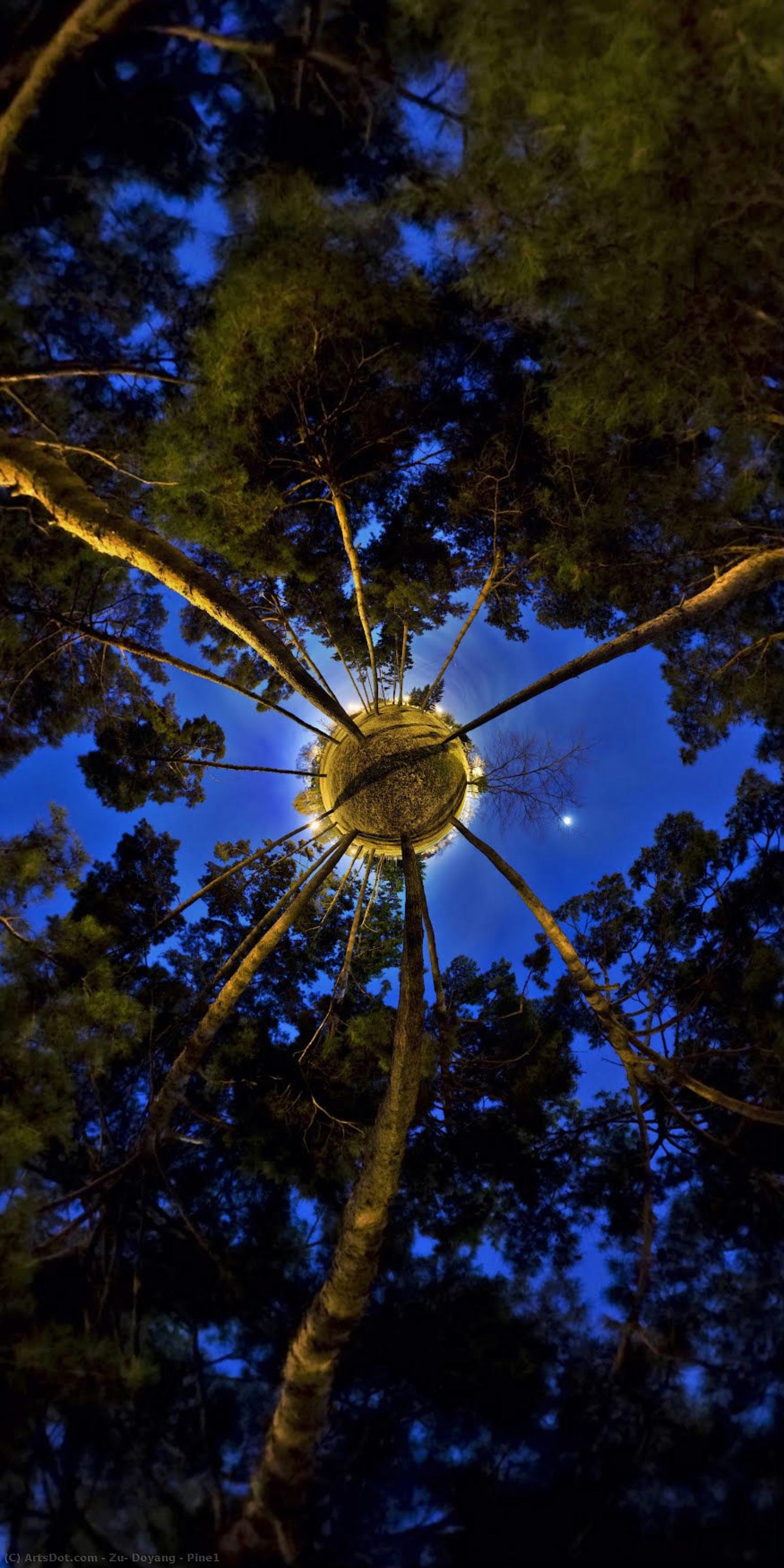 Pine1 — Zu, Doyang