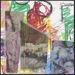 Evidence From Femfolio — Carolee Schneemann