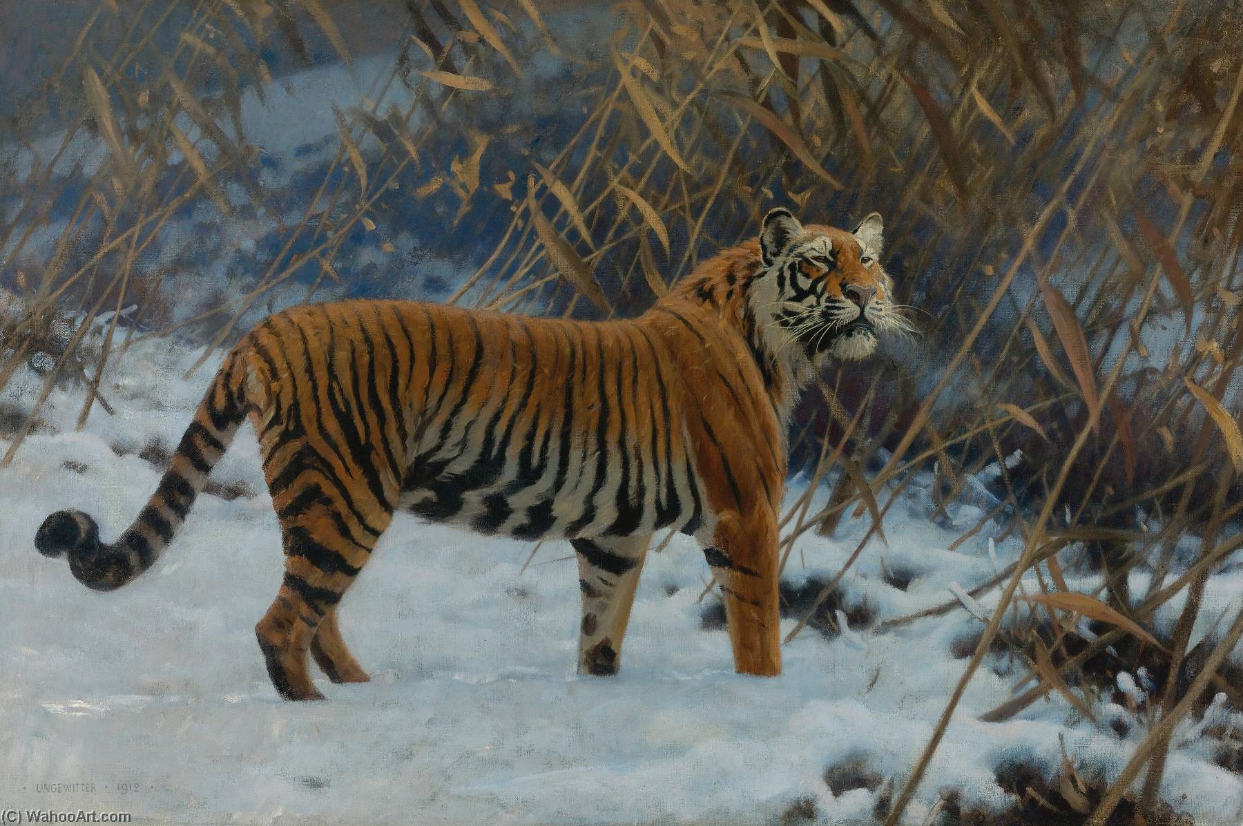 A Tiger Prowling In The Snow — Hugo Ungewitter