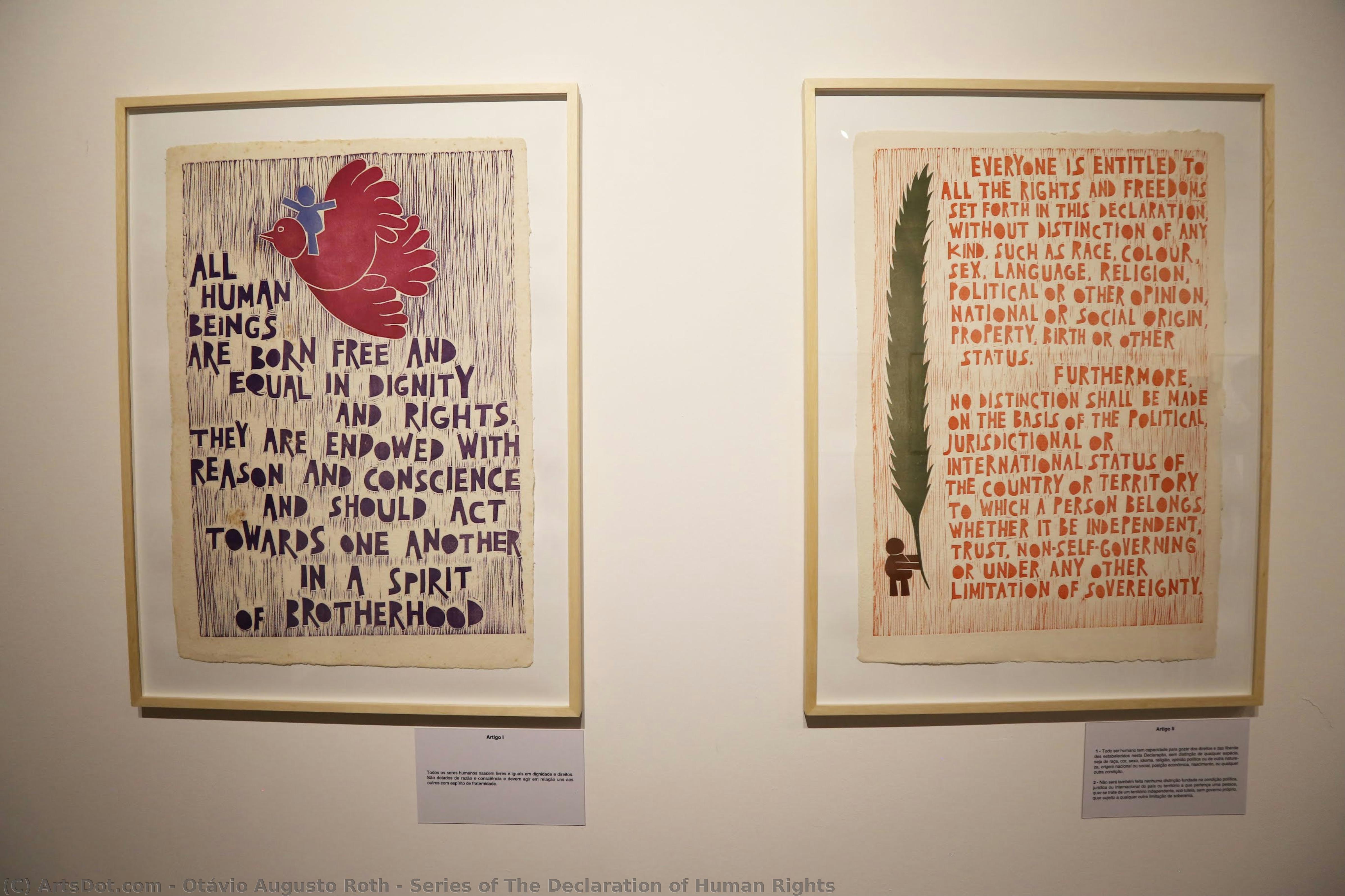 Series Of The Declaration Of Human Rights — Otávio Augusto Roth