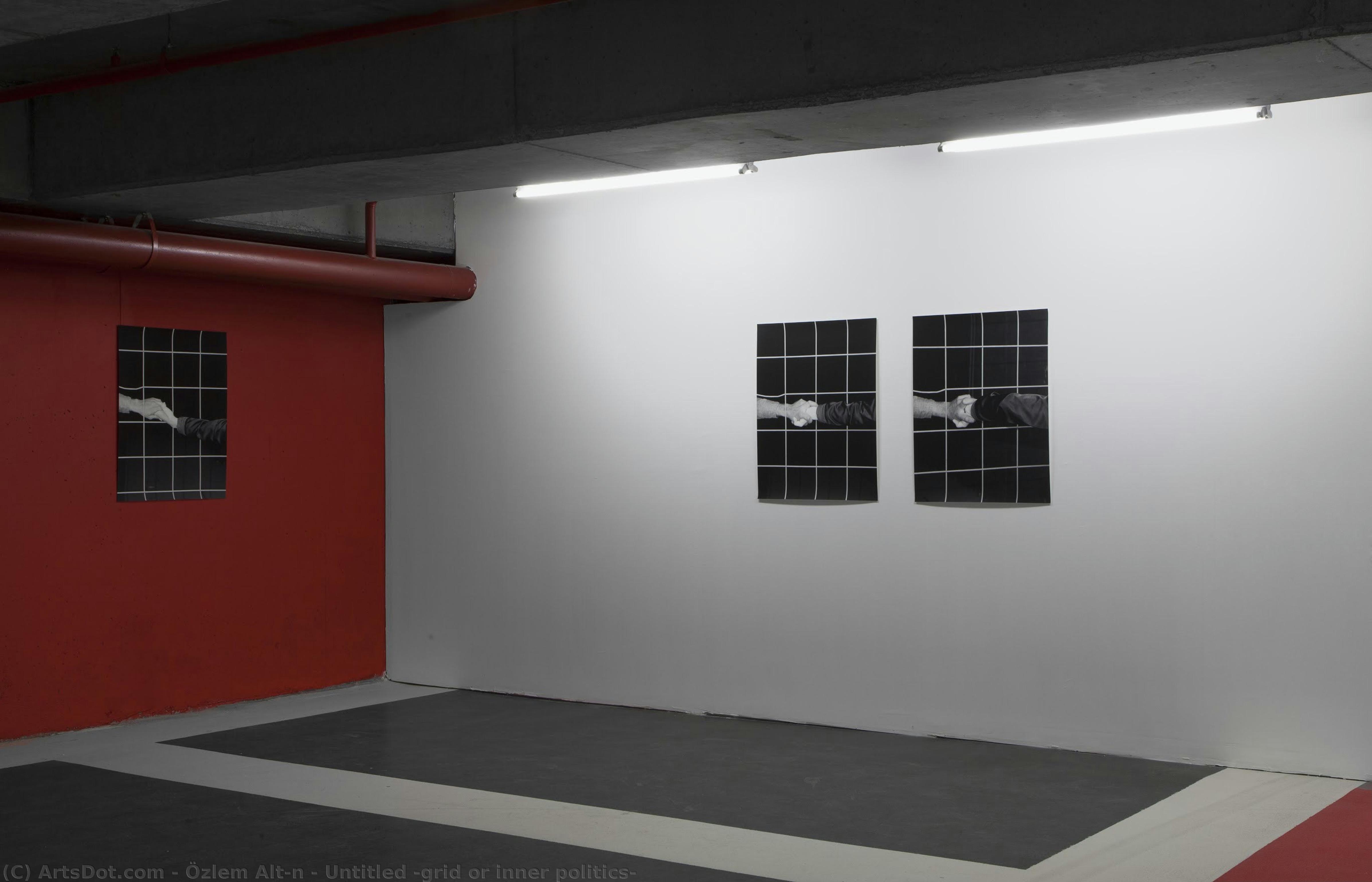 Untitled (grid Or Inner Politics) — Özlem Altın