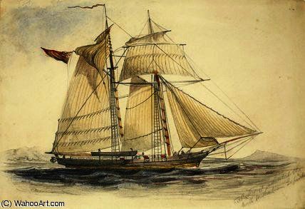 The Tom Tough Attached To The North Australia — Thomas Baines
