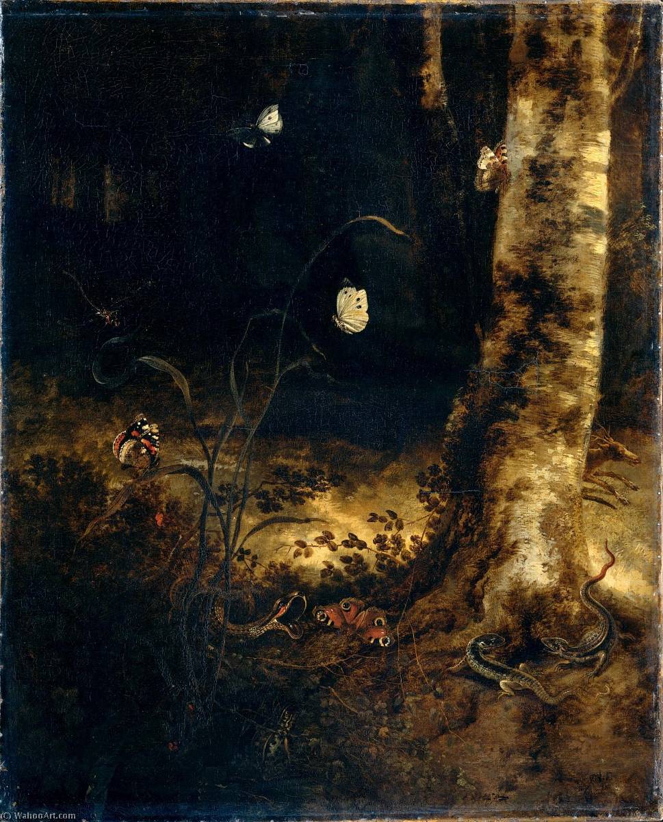 Forest Floor Still Life With Butterflies And Reptiles — Otto Marseus Van Schrieck