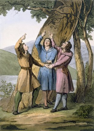 The Three Leaders Of The Helvetian — Gallo Gallina