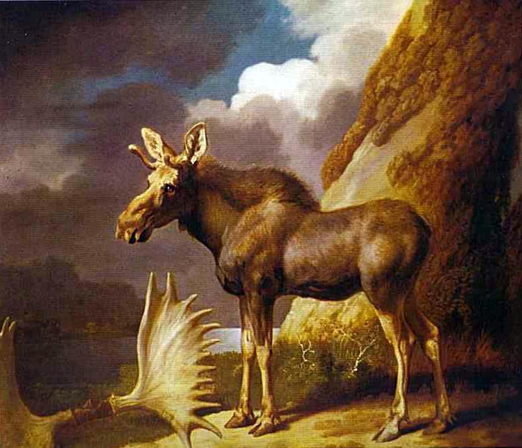 The Moose — George Stubbs