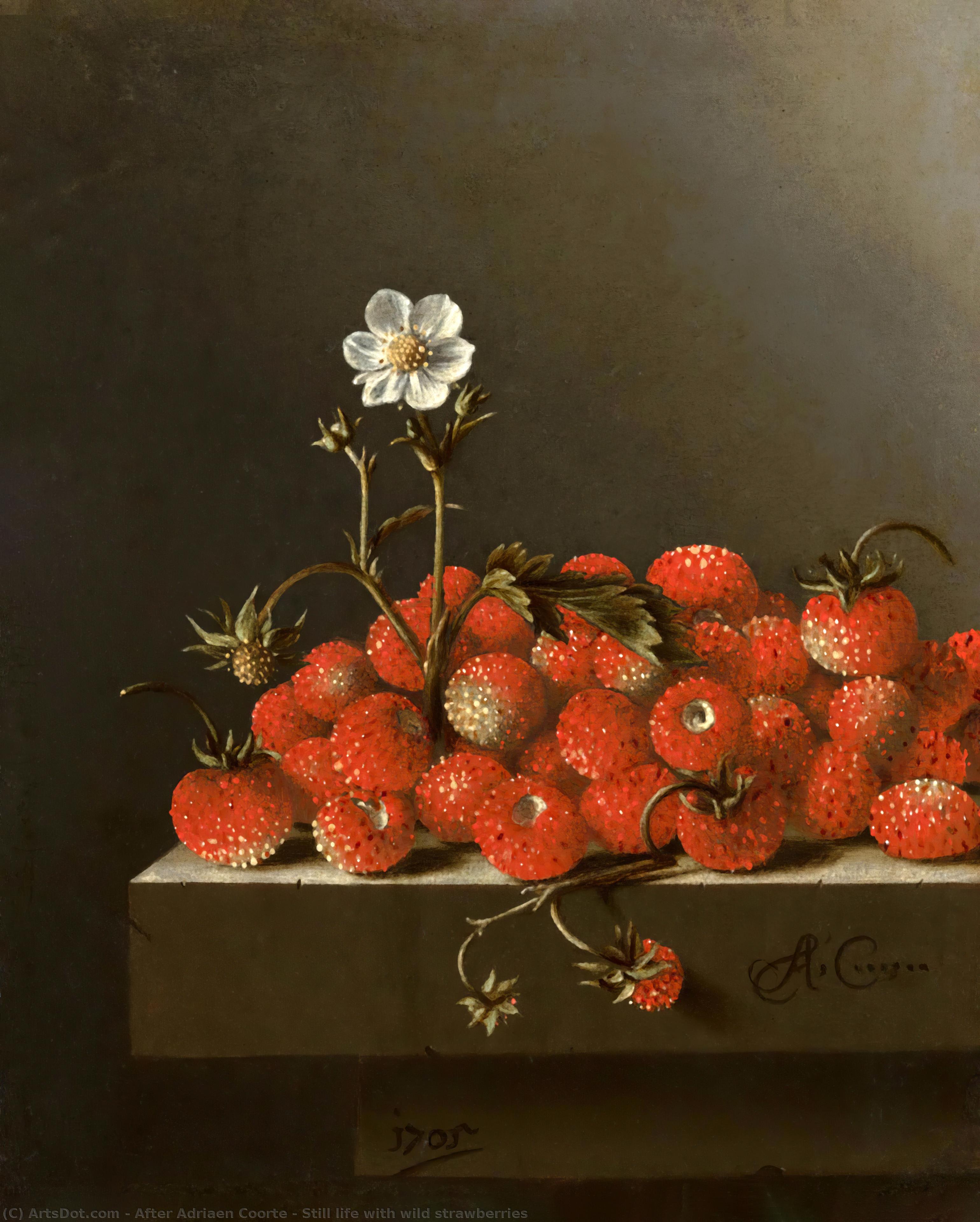 Still Life With Wild Strawberries — Después De Adriaen Coorte