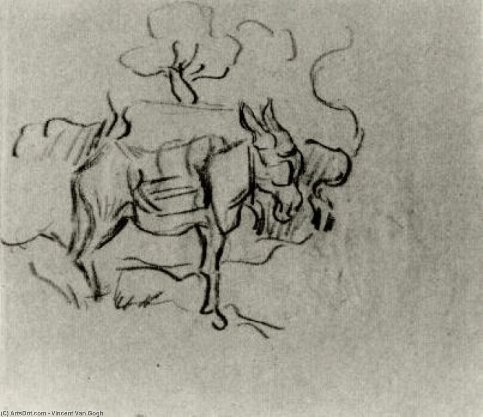 Sketch Of A Donkey — Vincent Willem Van Gogh