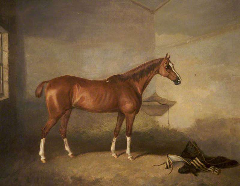 A Chestnut Horse In A Stable — John Boultbee