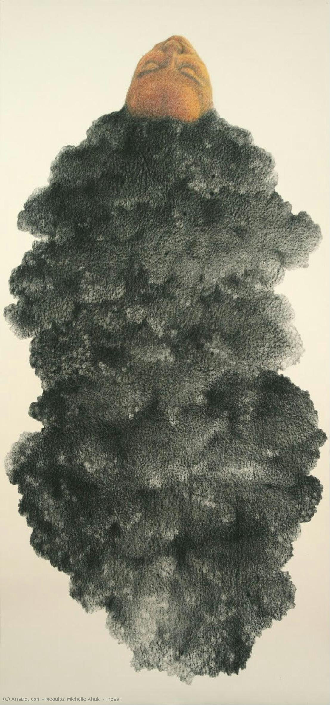 Tress I — Mequitta Michelle Ahuja