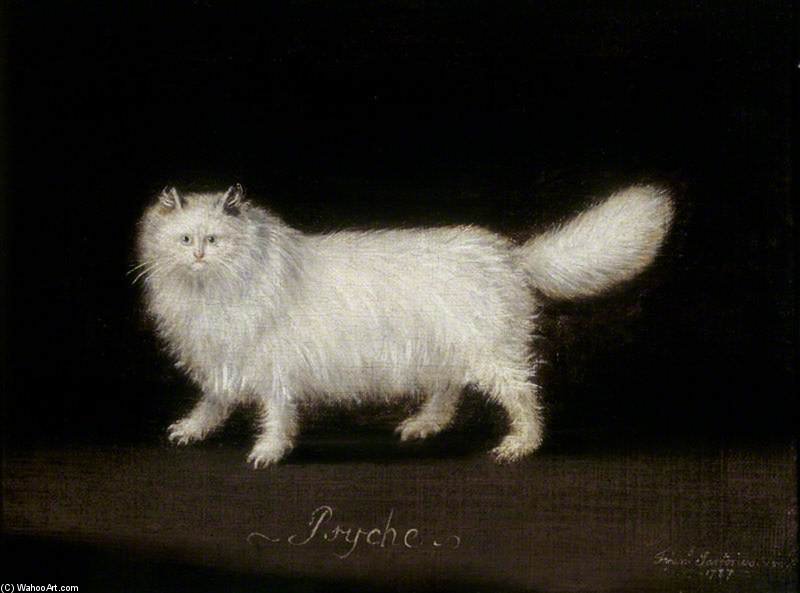 'psyche', A White Persian Cat — Francis Sartorius Ii (john Francis Sartorius)