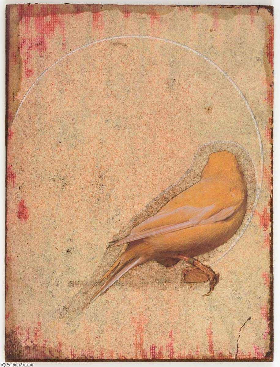 Untitled (yellow Canary With Back Turned) — Joseph Cornell
