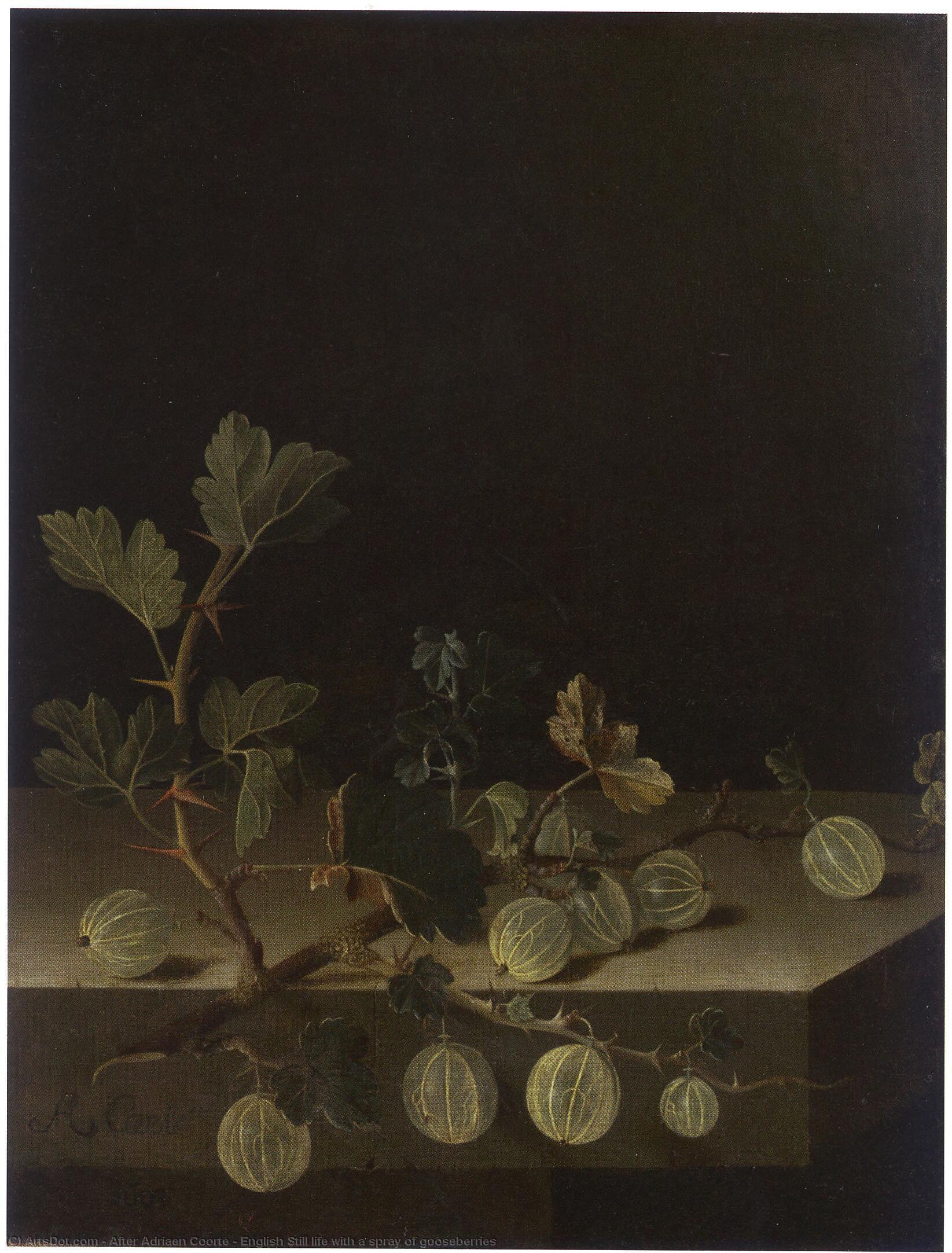 English Still Life With A Spray Of Gooseberries — After Adriaen Coorte