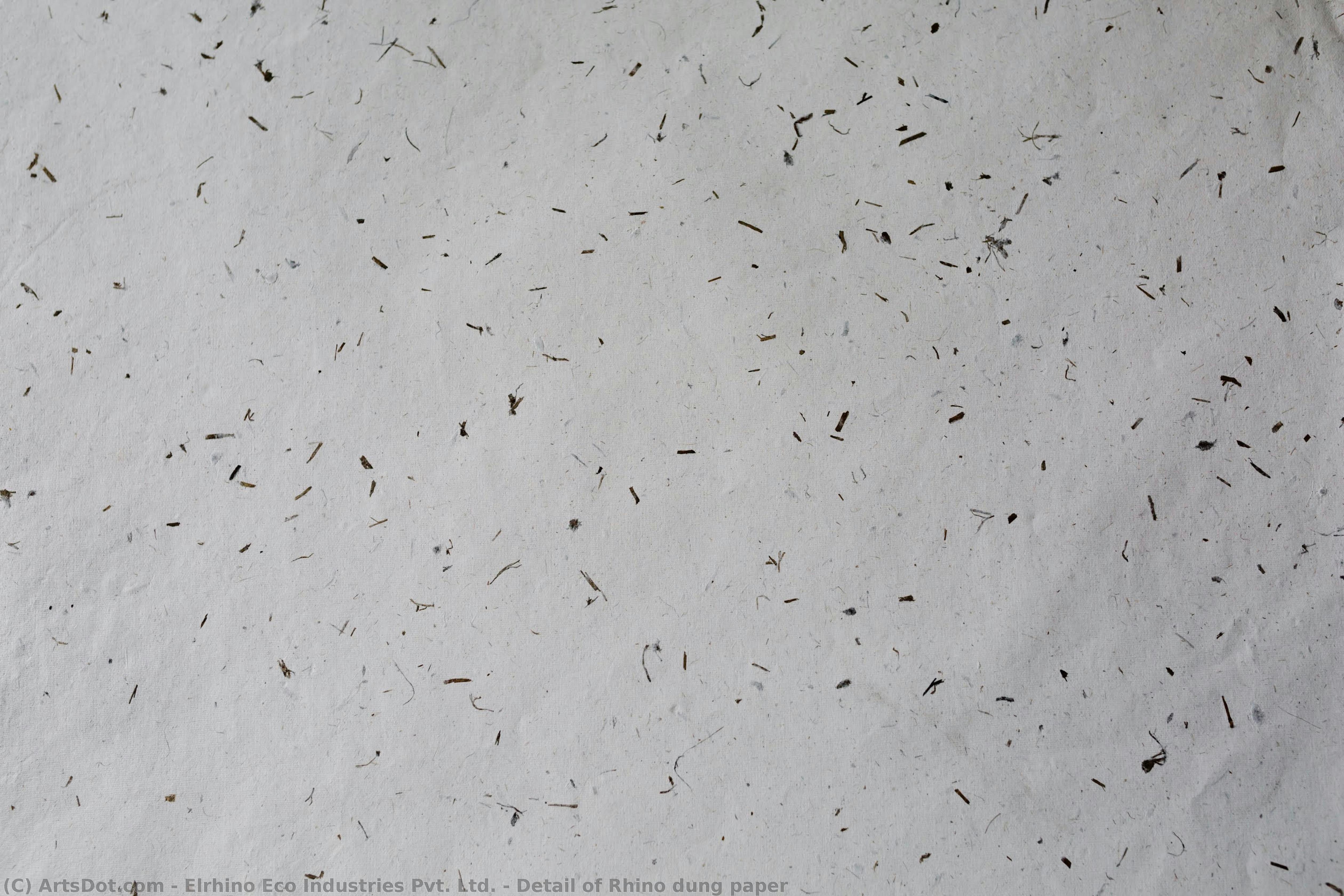 Detail Of Rhino Dung Paper — Elrhino Eco Industries Pvt. Ltd.