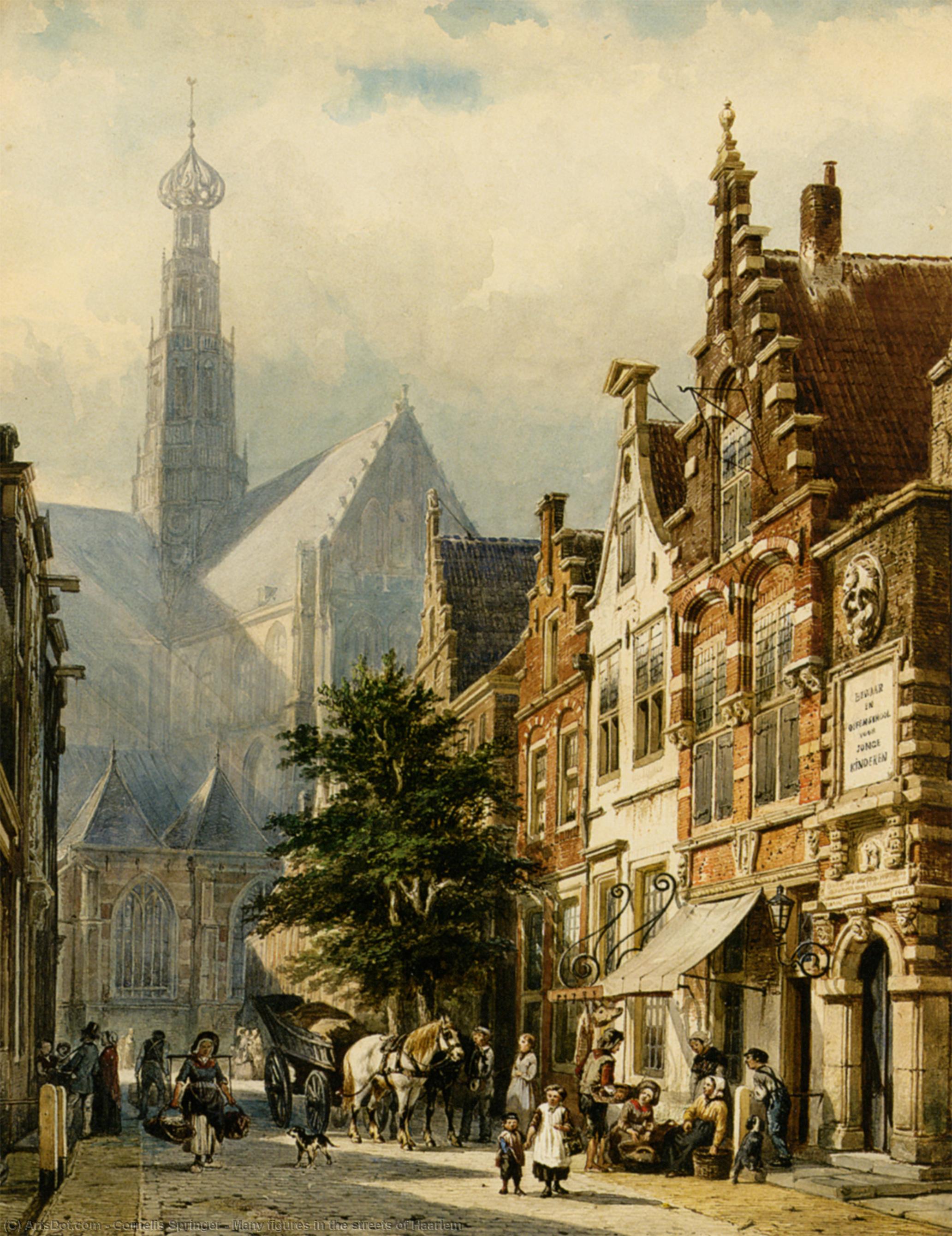 Many Figures In The Streets Of Haarlem — Cornelis Springer