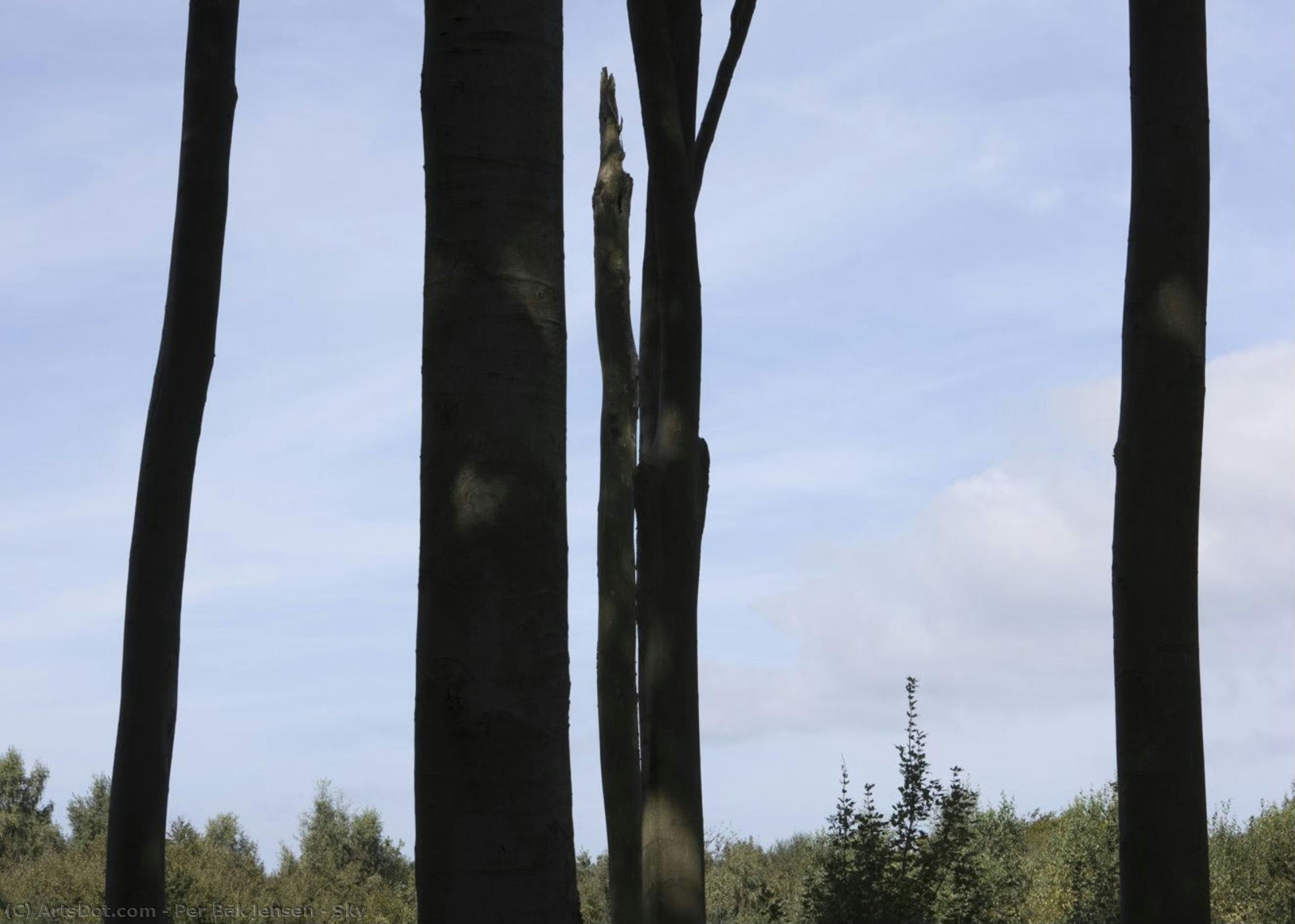 Himmel — Per Bak Jensen