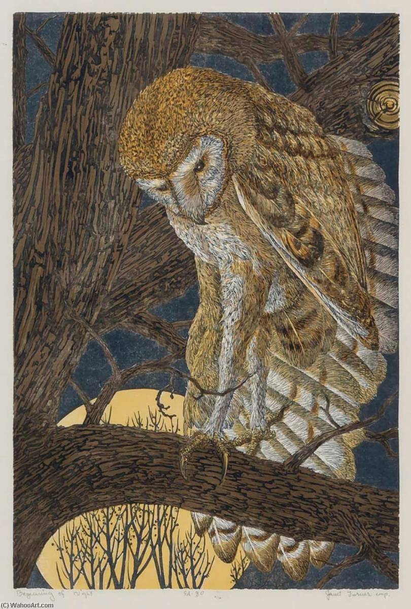 Beginning Of Night — Janet E Turner