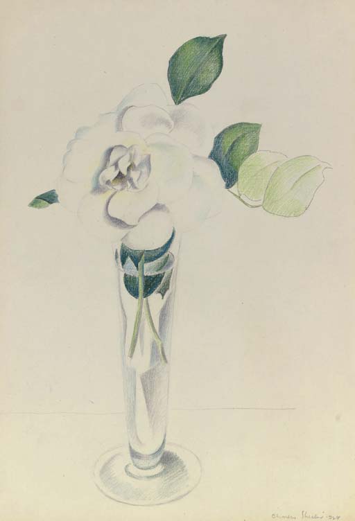 Rose In Vase — Charles Rettew Sheeler Junior