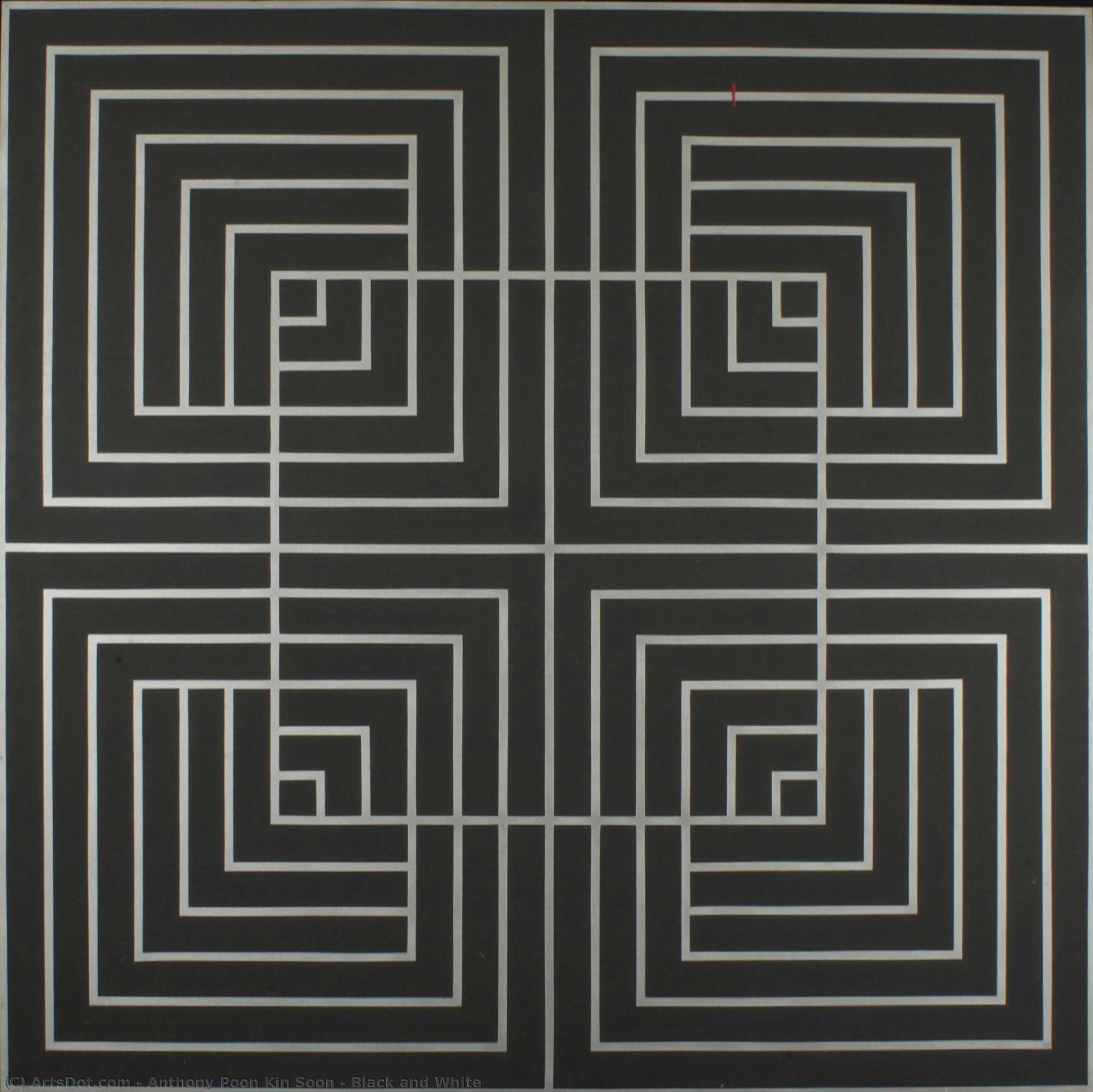 Black And White — Anthony Poon Kin Soon