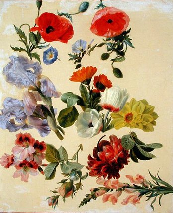 Studies Of Summer Flowers — Jacques Laurent Agasse