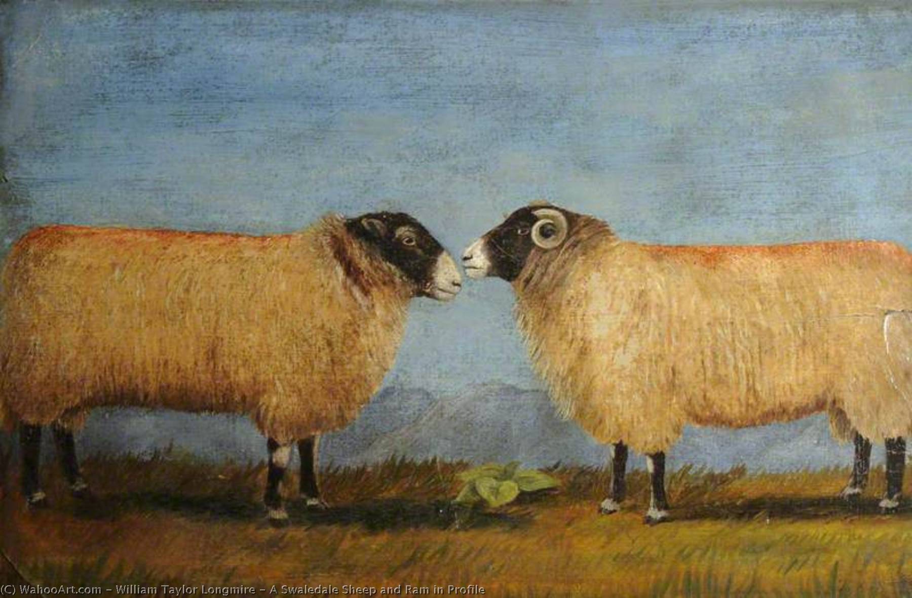 A Swaledale Sheep And Ram In Profile — William Taylor Longmire
