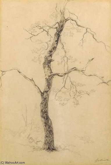 A Study Of A Tree — Пауль Йозеф Константин Габриэль