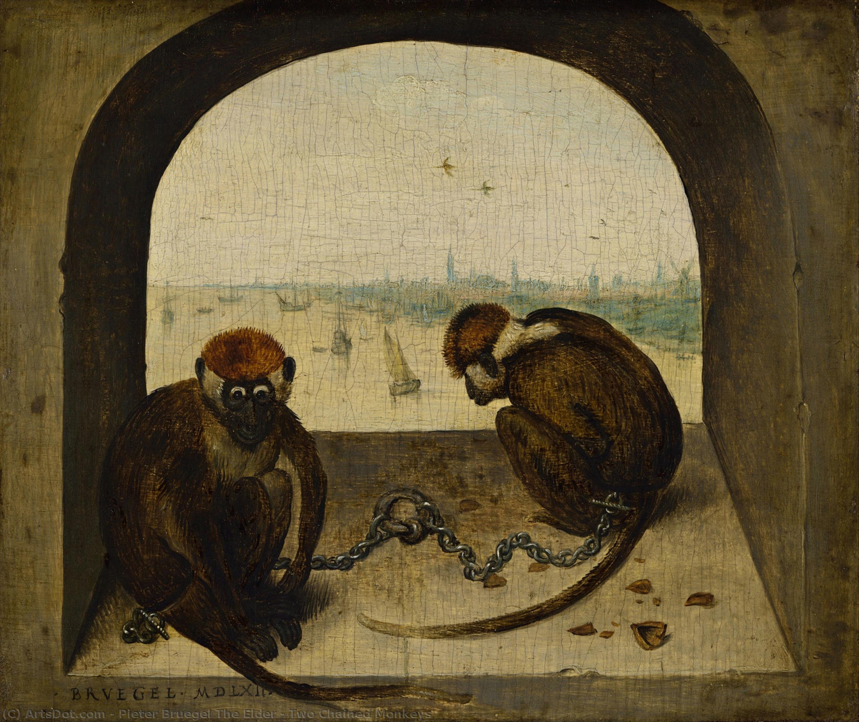 Dos Monos Encadenados — Pieter Bruegel El Viejo