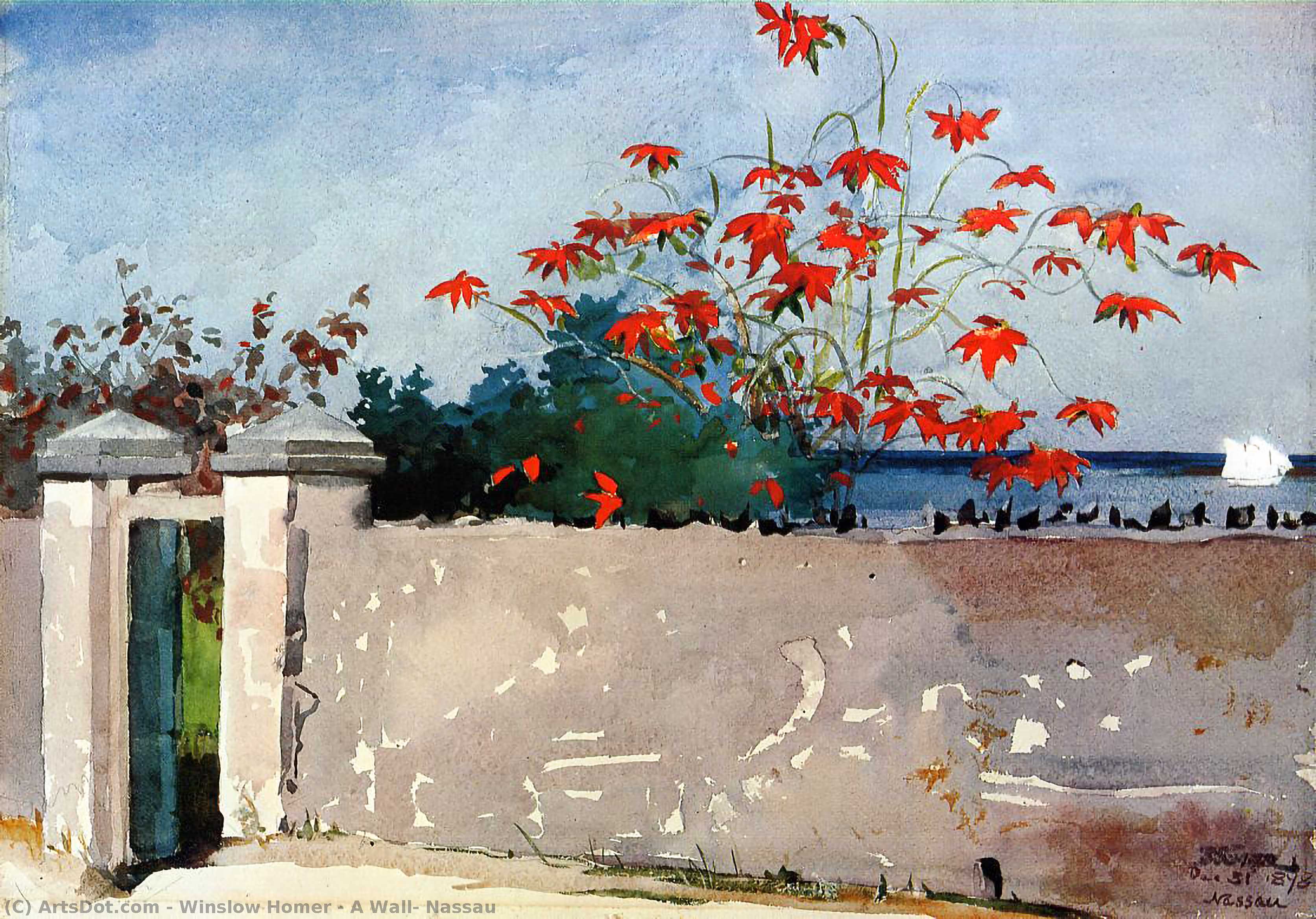 Un Muro, Nassau — Winslow Homer