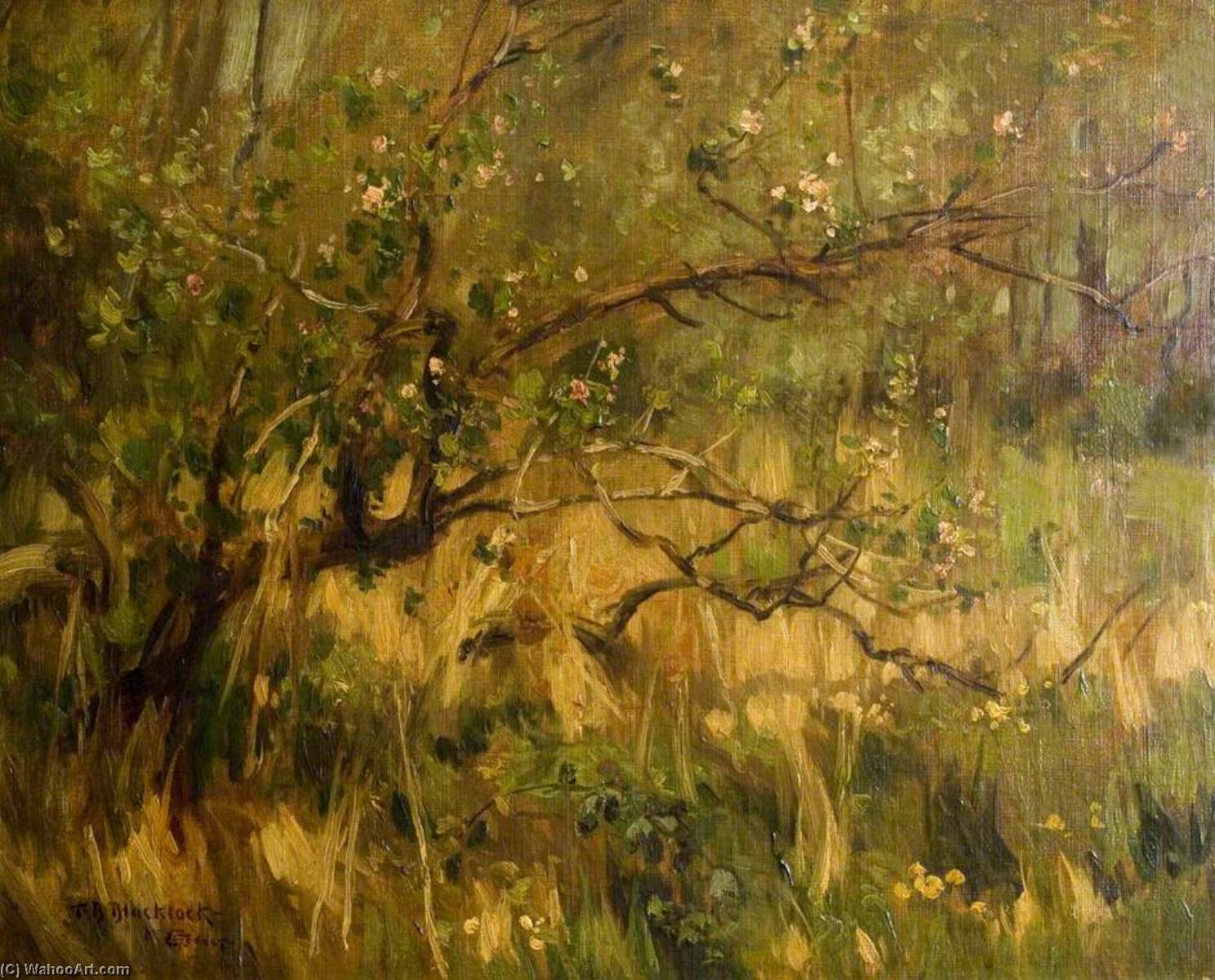 Untitled — Thomas Bromley Blacklock