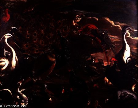 The Birds And The Beasts — Jacob Van Der (giacomo Da Castello) Kerckhoven