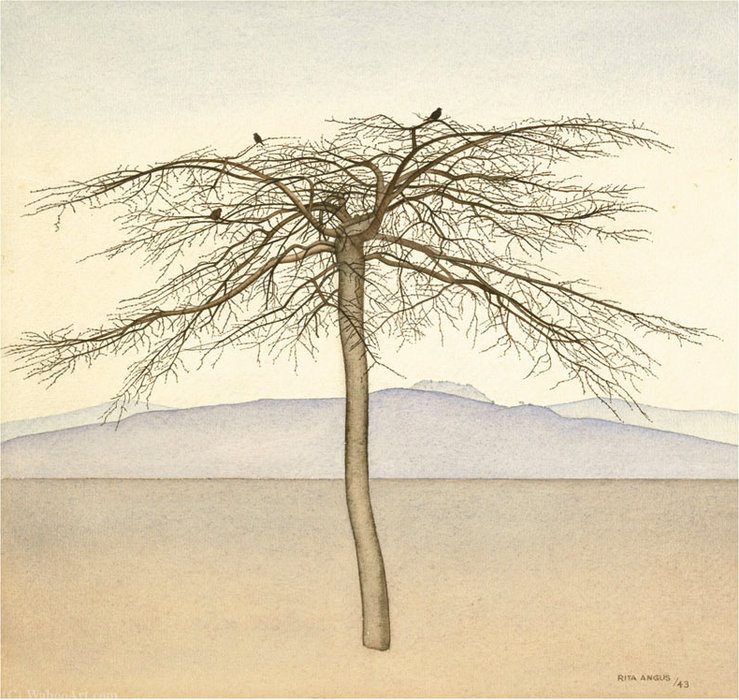 Tree — リタ・アンガス