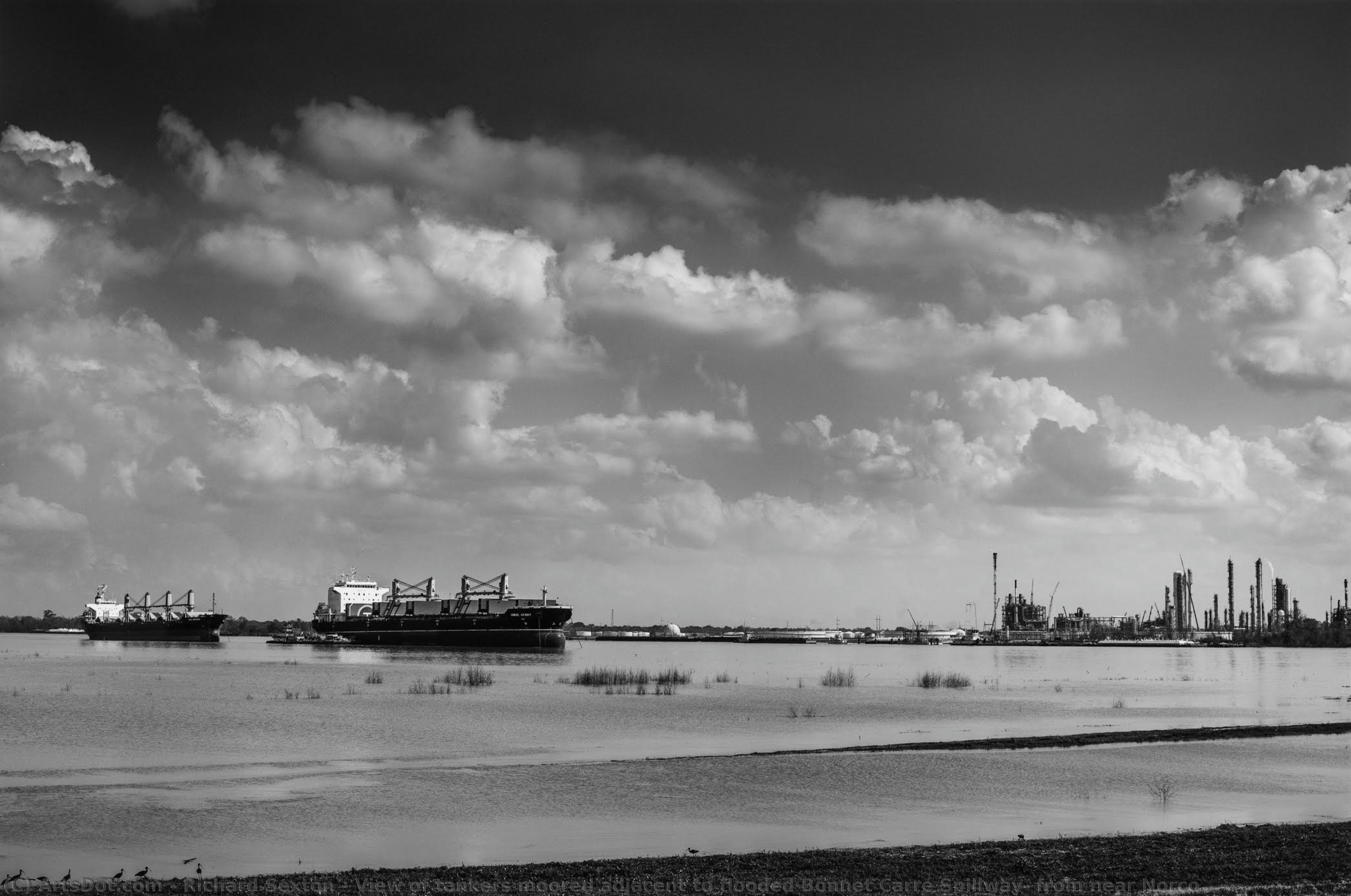 View Of Tankers Moored Adjacent To Flooded Bonnet Carré Spillway; From Near Norco — Richard Sexton