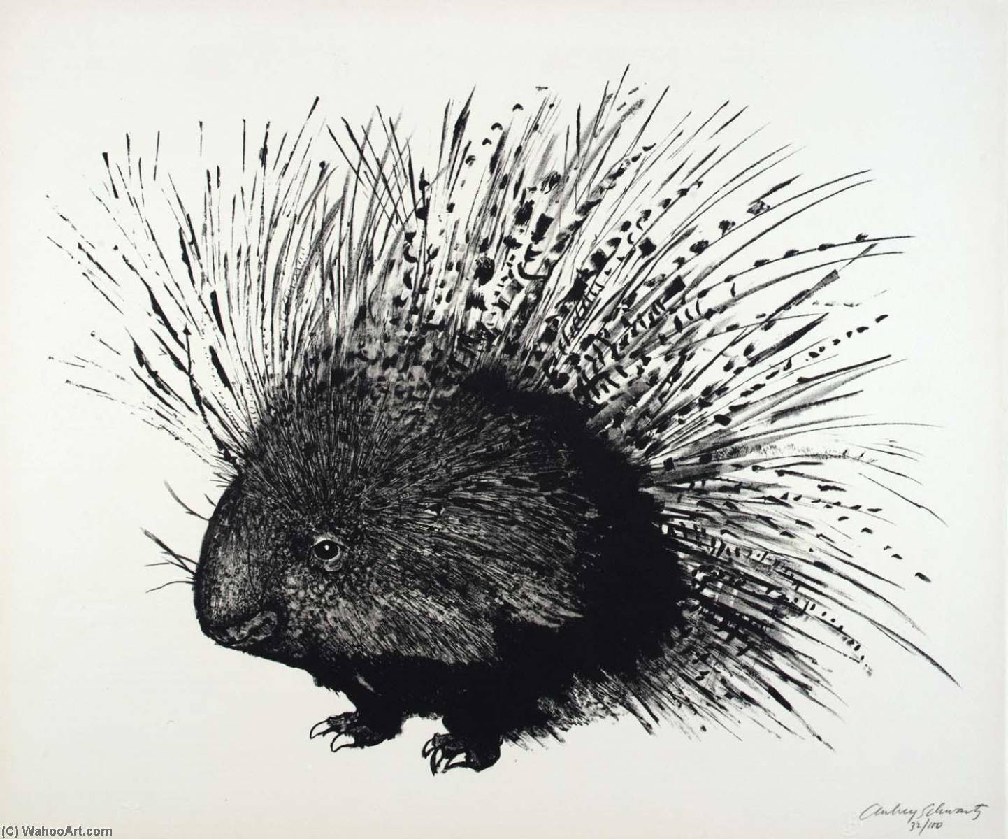 (a Bestiary, Portfolio) Porcupine — Aubrey Schwartz