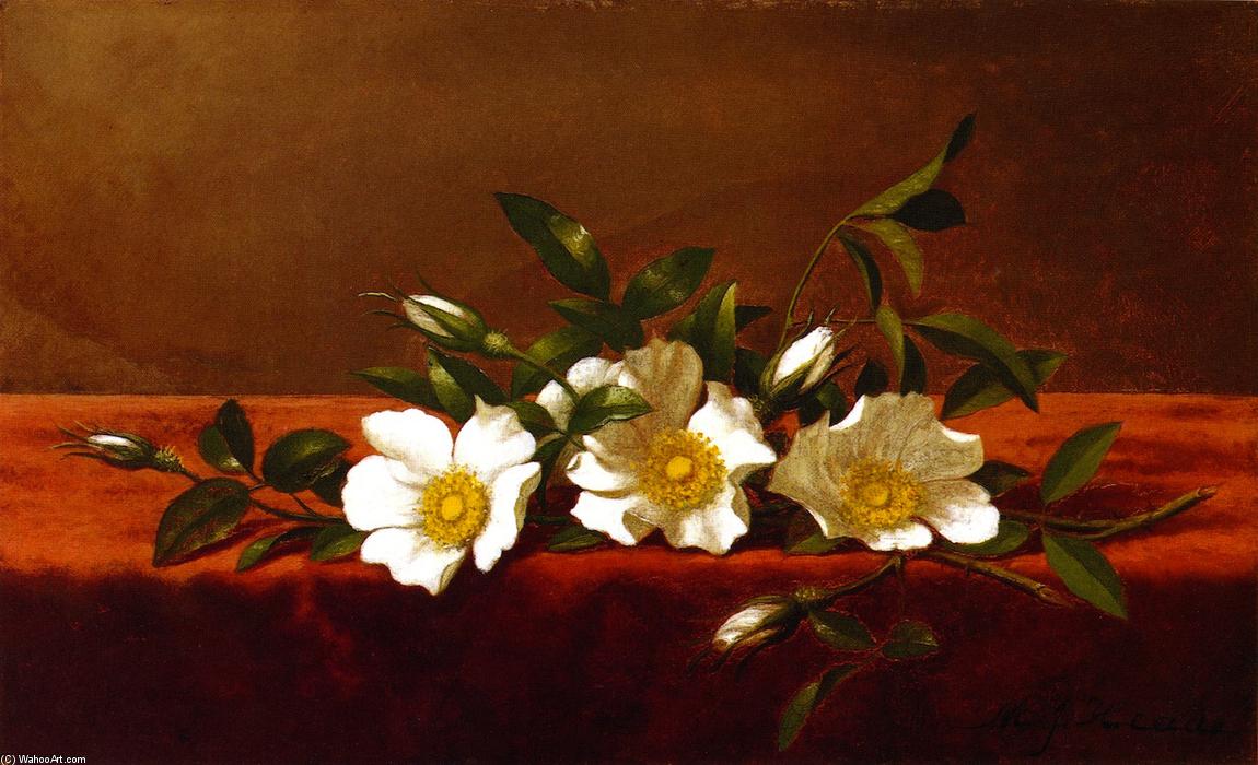 Cherokee Roses — Мартин Джонсон Хед