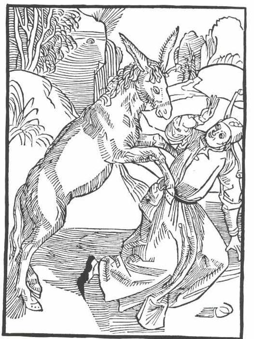 The Ship Of Fool — Albrecht Dürer
