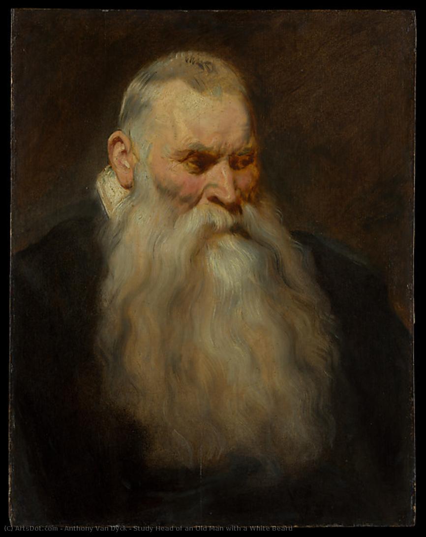 Study Head Of An Old Man With A White Beard — Sir Anthony Van Dyck