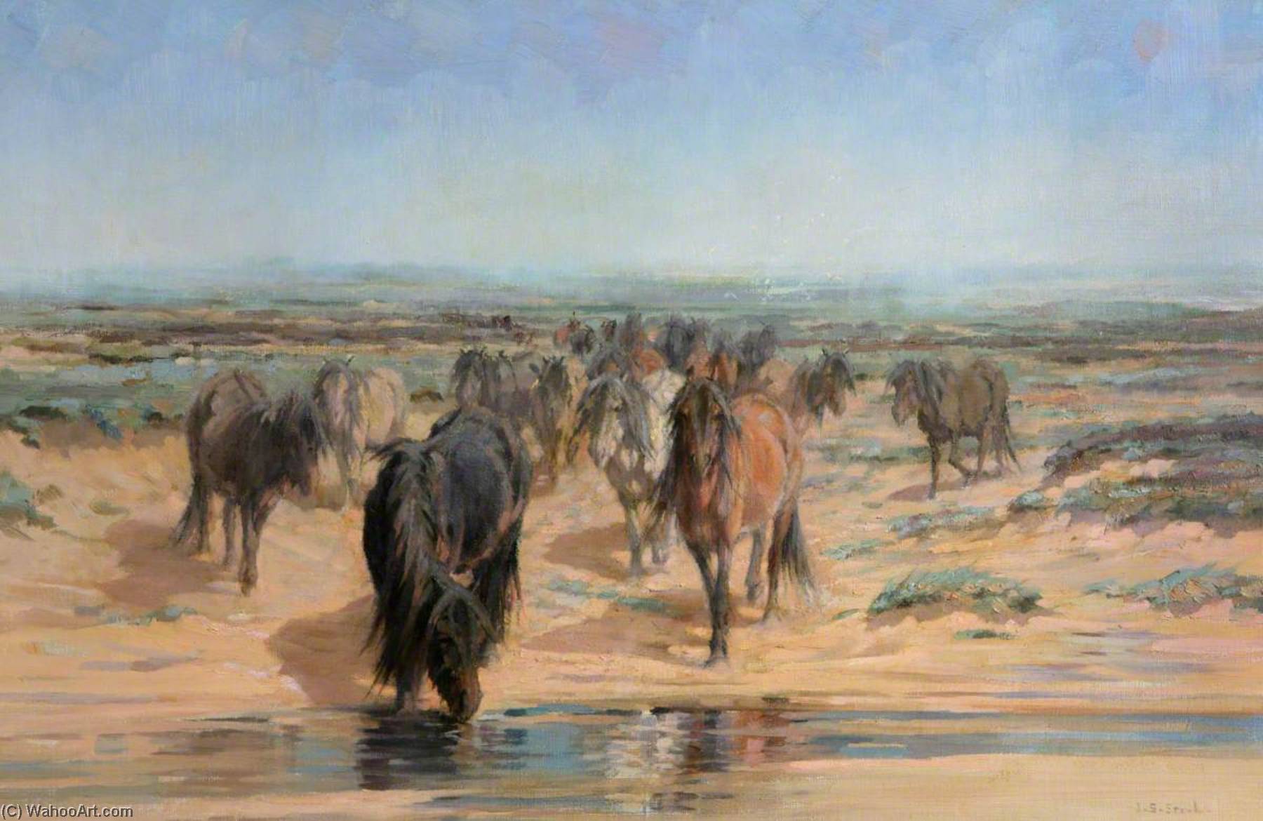 Coming Down To Water — John Sydney Steel