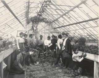 Arithmetic Measuring For Estimates — Frances Benjamin Johnston