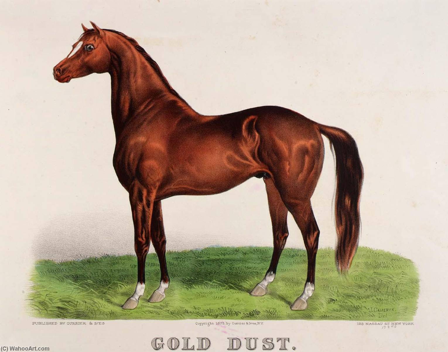 Gold Dust — John Cameron Cutler