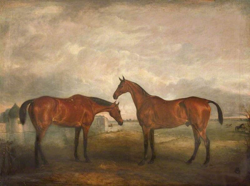 Two Racehorses, Called 'sambo' And 'pilot' — John Ferneley, Snr