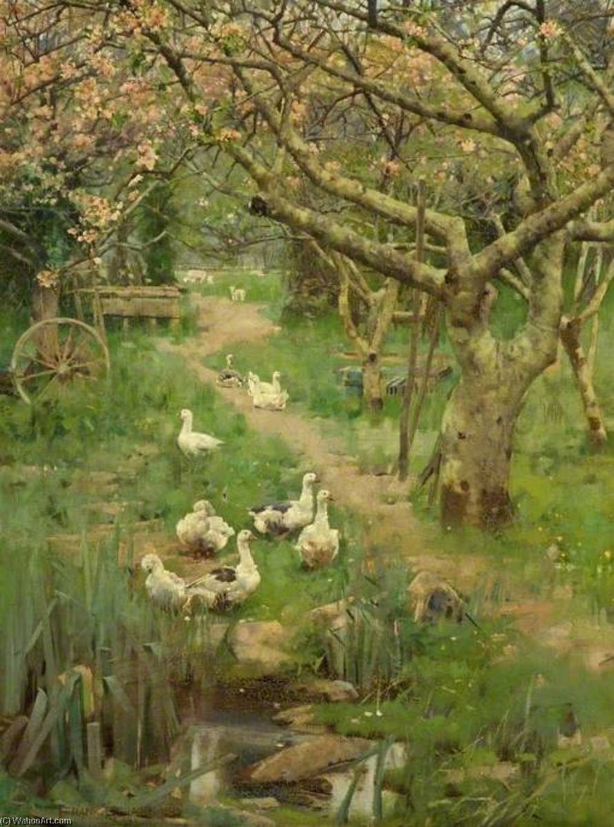 In A Cornish Orchard — Frank Richards