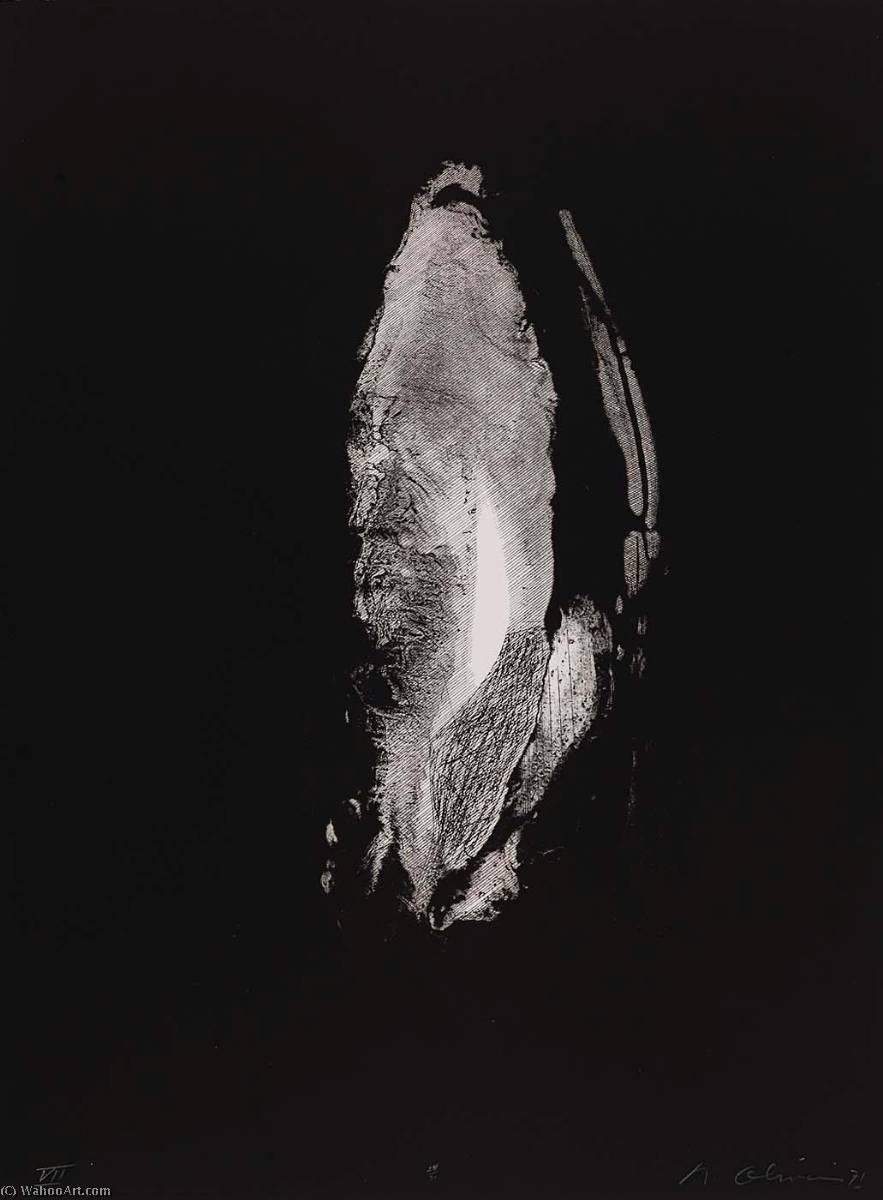 Edgar Allan Poe Vii, From The Suite To Edgar Allan Poe — Nathan Oliveira