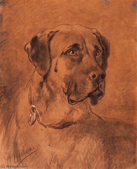 English Mastiff — Oto Erelman