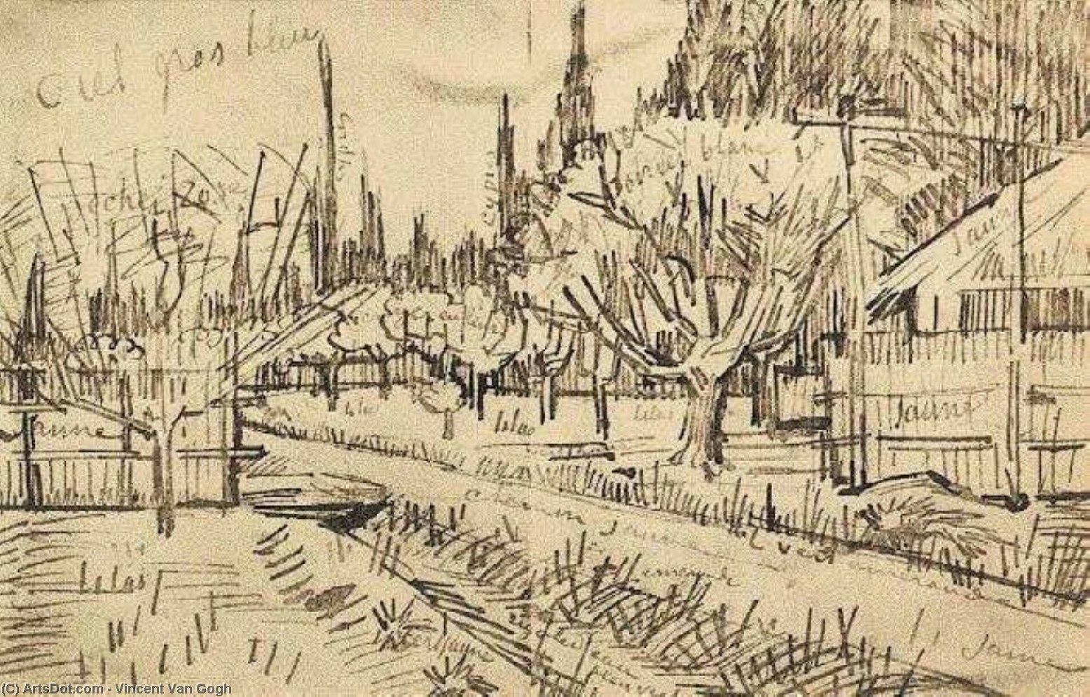 Orchard Surrounded By Cypresses Letras — Vincent Willem Van Gogh